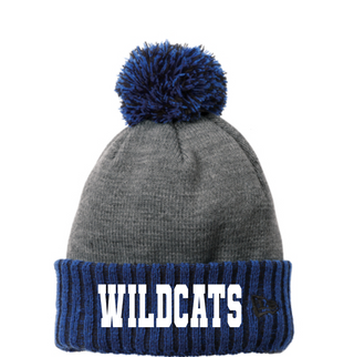 WC to DC Fundraiser - Colorblock Pom Beanie