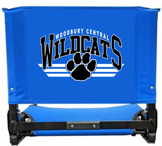 WC to DC Fundraiser - Stadium Chair - Design #1