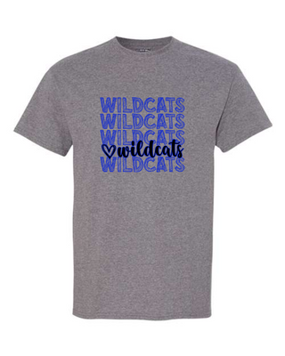 WC to DC Fundraiser - Design #1 - Grey Apparel (+ options)