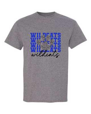 WC to DC Fundraiser - Design #2 - Grey Apparel (+ options)